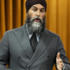 Singh tells Tories to back off as House prepares for first pharmacare vote